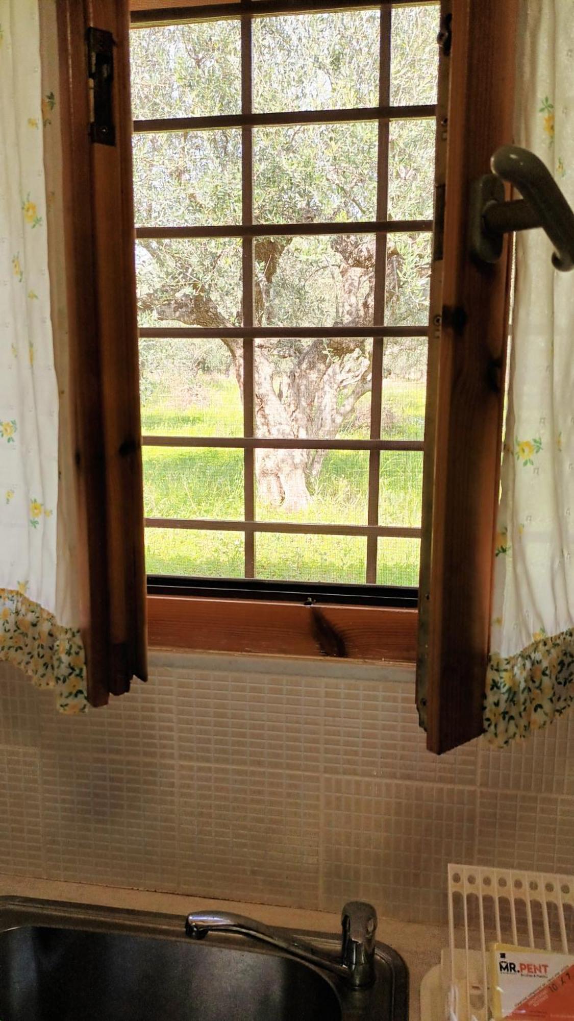 Olives House Villa Vromonerion Room photo
